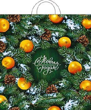 пакет петл. шурш. 38х42 Новогодний базар НГ от производителя в Березниках