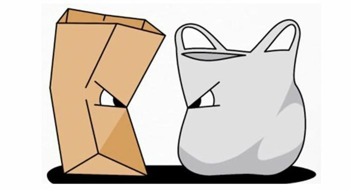 Paper bag vs plastic bag презентация