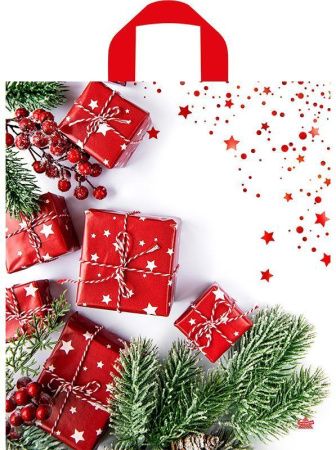 пакет петл. 42х38 Время подарков НГ ШК